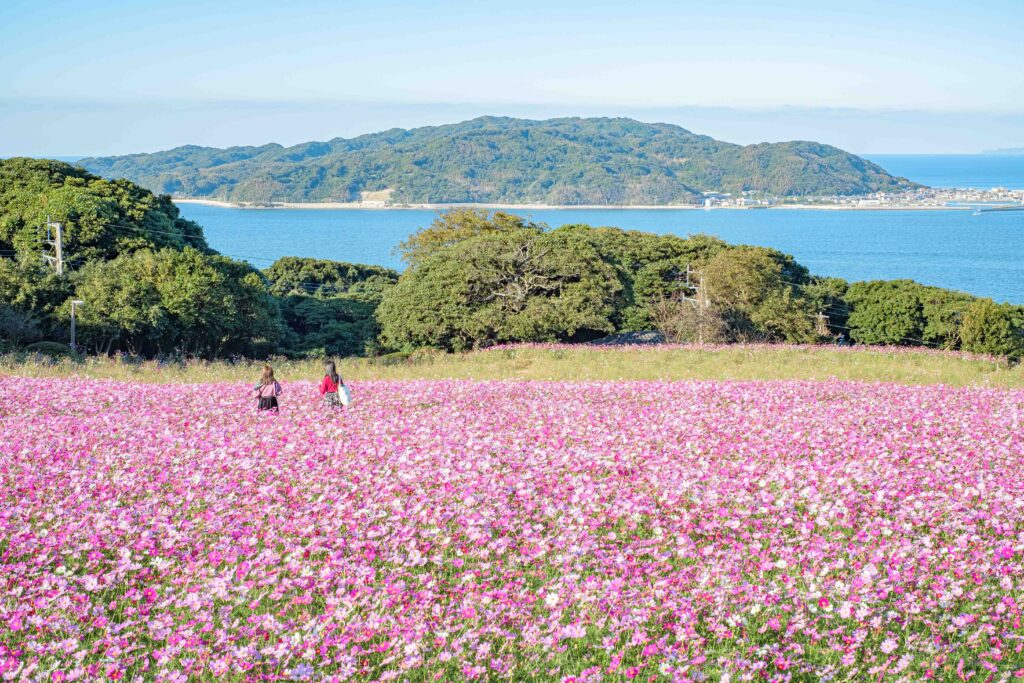 能古島